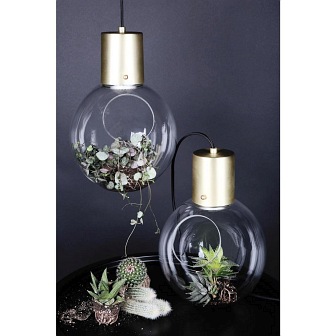 Lampa szklana dekoracyjna Hole mosiądz z roślinami